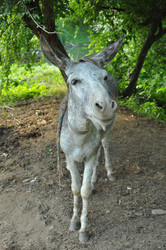 Similar image 712219