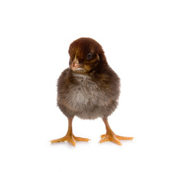 Similar image 712224