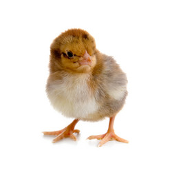 Similar image 712225