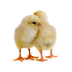 Similar image 712228