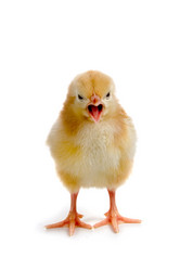 Similar image 712232