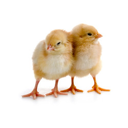 Similar image 712233