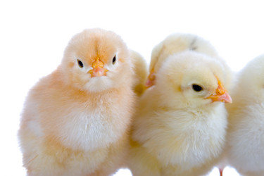 Similar image 712234