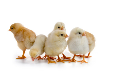 Similar image 712235