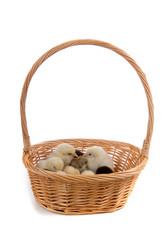 Similar image 712244