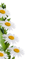 Similar image 712252