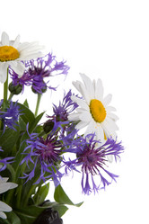 Similar image 712256