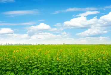 Similar image 712267