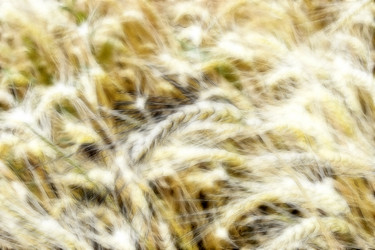 Similar image 712275