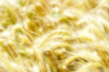 Similar image 712276