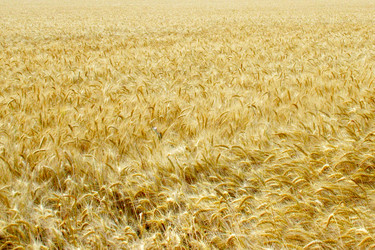 Similar image 712277