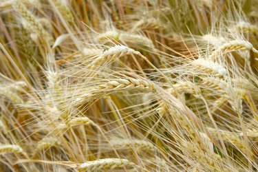 Similar image 712278