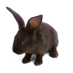 Similar image 712281