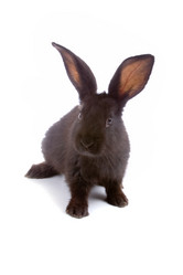 Similar image 712282