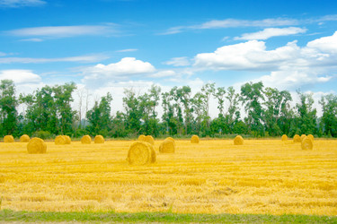 Similar image 712315