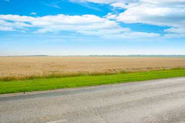 Similar image 712329