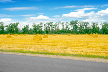 Similar image 712331