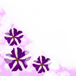 Similar image 712334