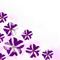 Similar image 712340