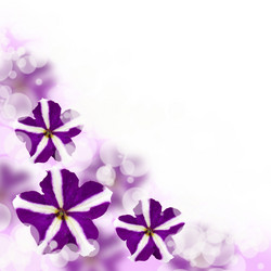 Similar image 712341