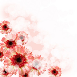 Similar image 712345