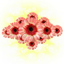 Similar image 712350