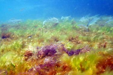 Similar image 712392