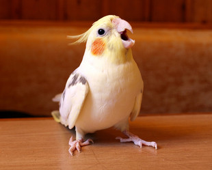 Similar image 712395