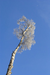 Similar image 712415