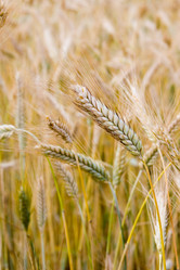 Similar image 712430