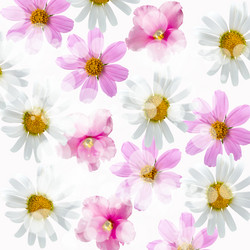 Similar image 712439