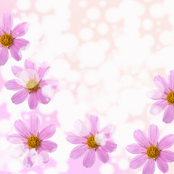 Similar image 712441