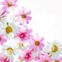 Similar image 712442