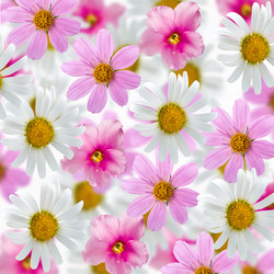 Similar image 712444