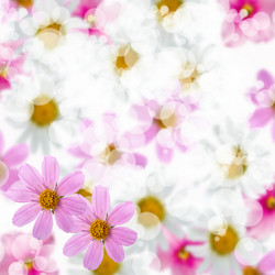 Similar image 712445