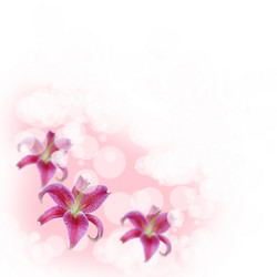 Similar image 712446