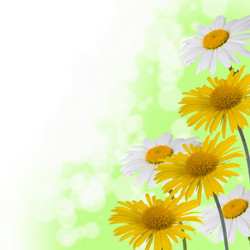 Similar image 712450