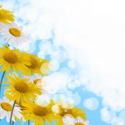 Similar image 712452