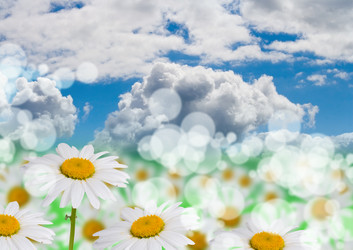 Similar image 712456