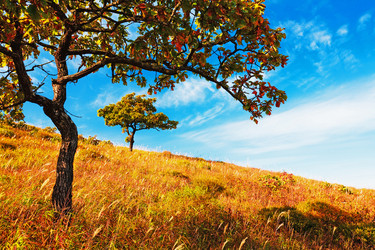 Similar image 712458