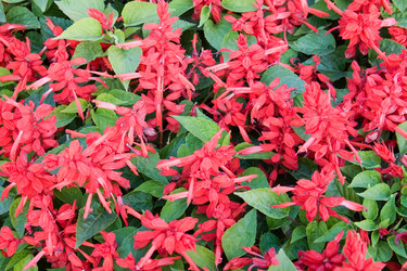 Similar image 712468