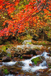 Similar image 712475