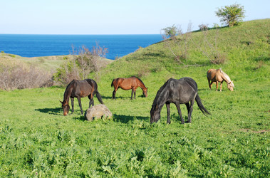 Similar image 712517