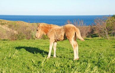 Similar image 712522