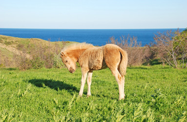 Similar image 712523