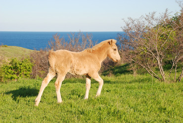 Similar image 712524