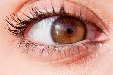 Similar image 712544