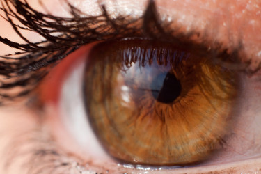 Similar image 712545