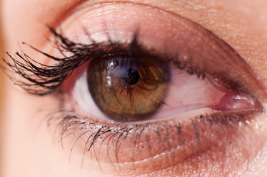 Similar image 712547