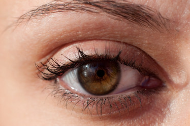 Similar image 712548